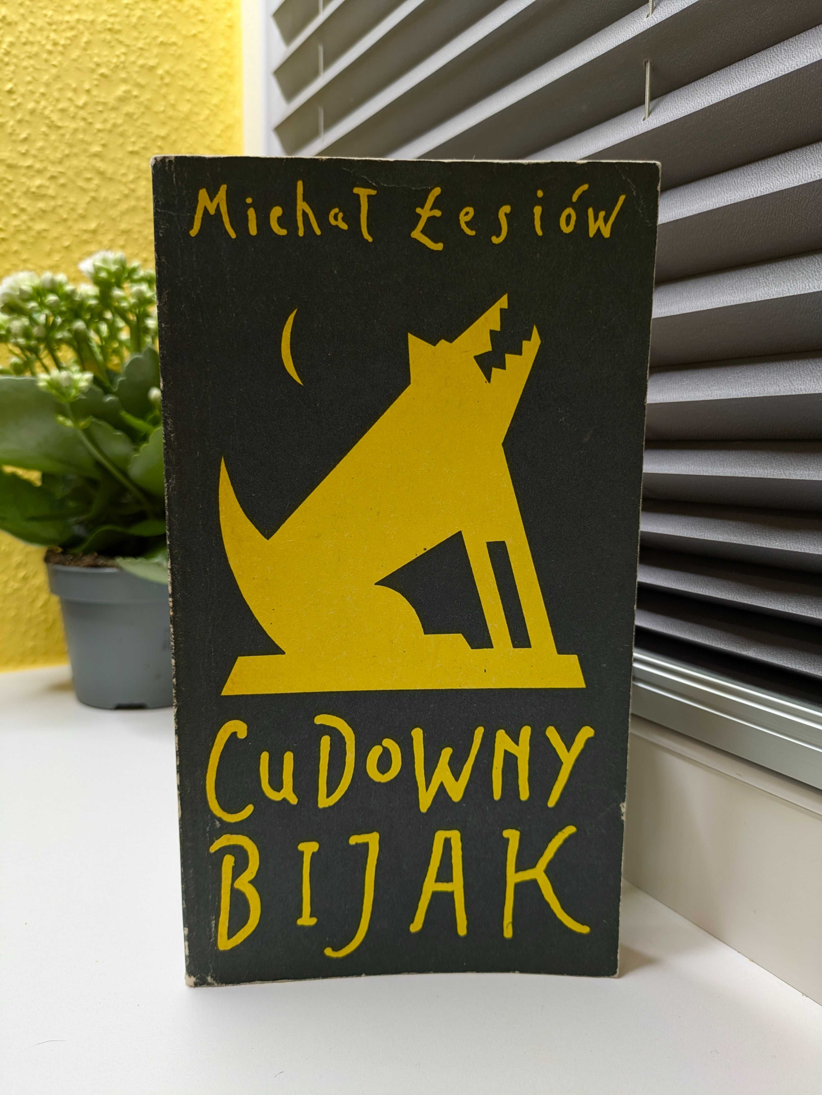 Michał Łesiów "Cudowny bijak. Bajki ludowe współcześnie pisane"