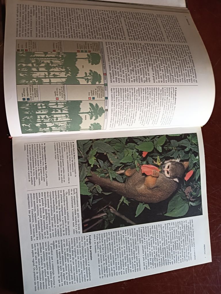 Primatas;	Coleção Animais de todo o Mundo do Circulo de Leitores.