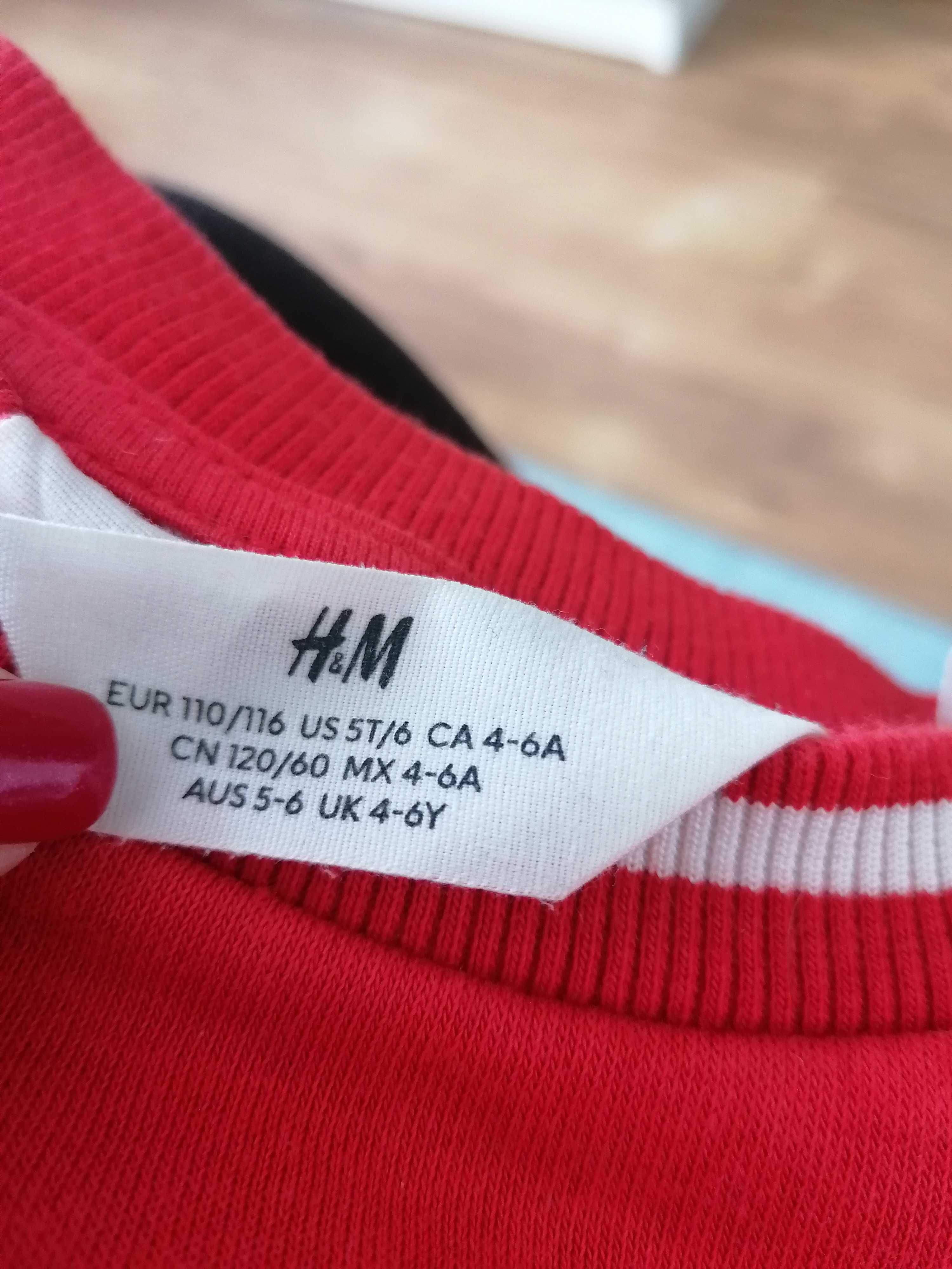 Bluza H&M, rozmiar 110/116 Myszka Minnie