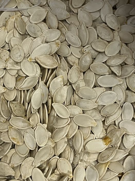 Гарбузове насіння