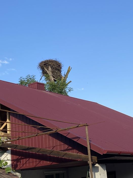 Дахи криші каркаси покрівельні роботи демонтаж