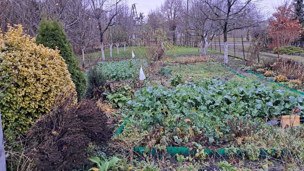 Dom jednorodzinny 73m², garaż, budynek gospodarczy, działka 1065m²