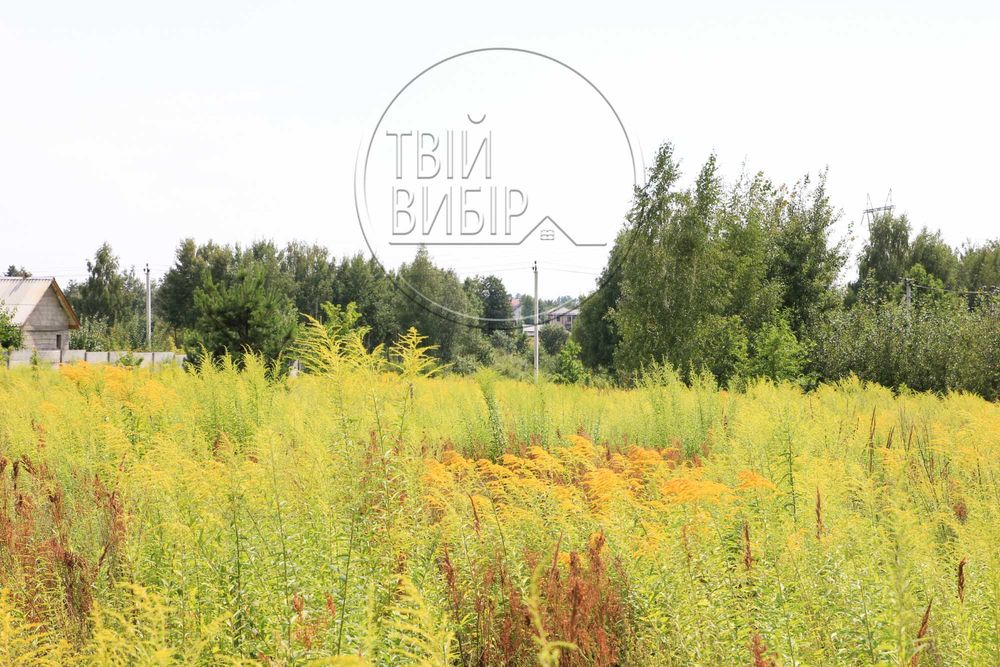 Продаж Ділянки Петрушки 10 соток