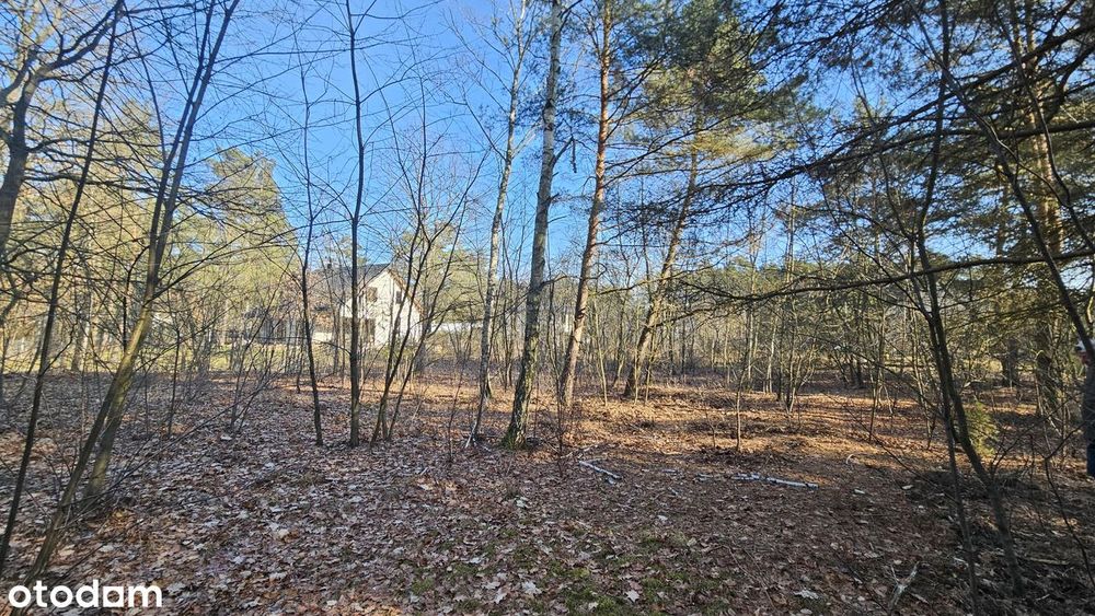 Chotomów działka budowlana 1265m2, las, blisko PKP