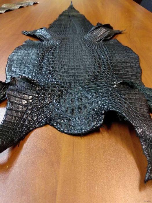 Крокодиловое Портмоне с лапой крокодила