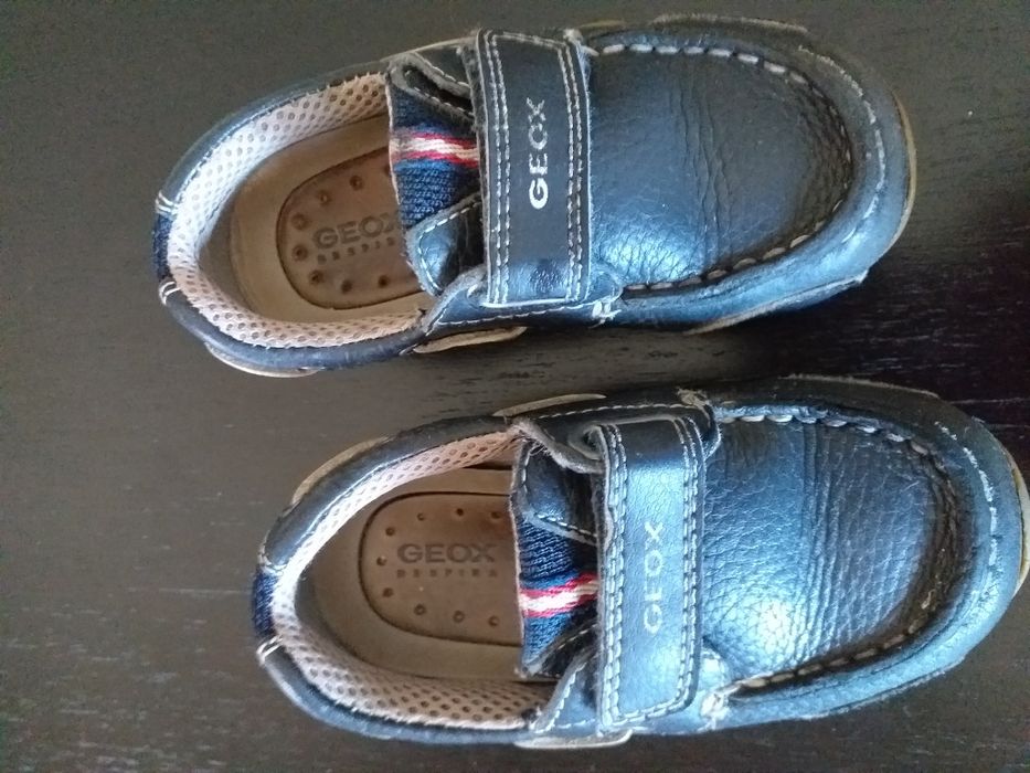 Sapatos geox tamanho 23