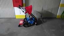 Bugaboo Cameleon - Carrinho de bebé + Patim
