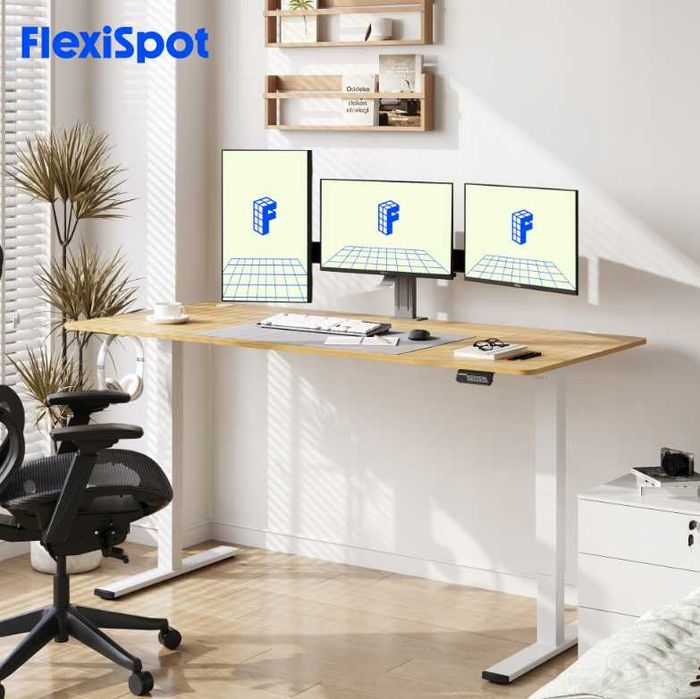 FlexiSpot Biurko Elektryczne z Regulacją 160x60 cm biały blat