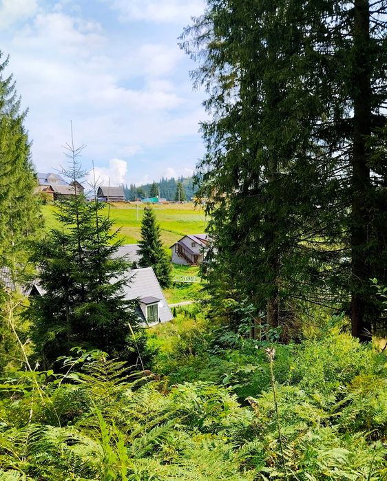 Оренда котеджу, будинку, житла у Карпатах