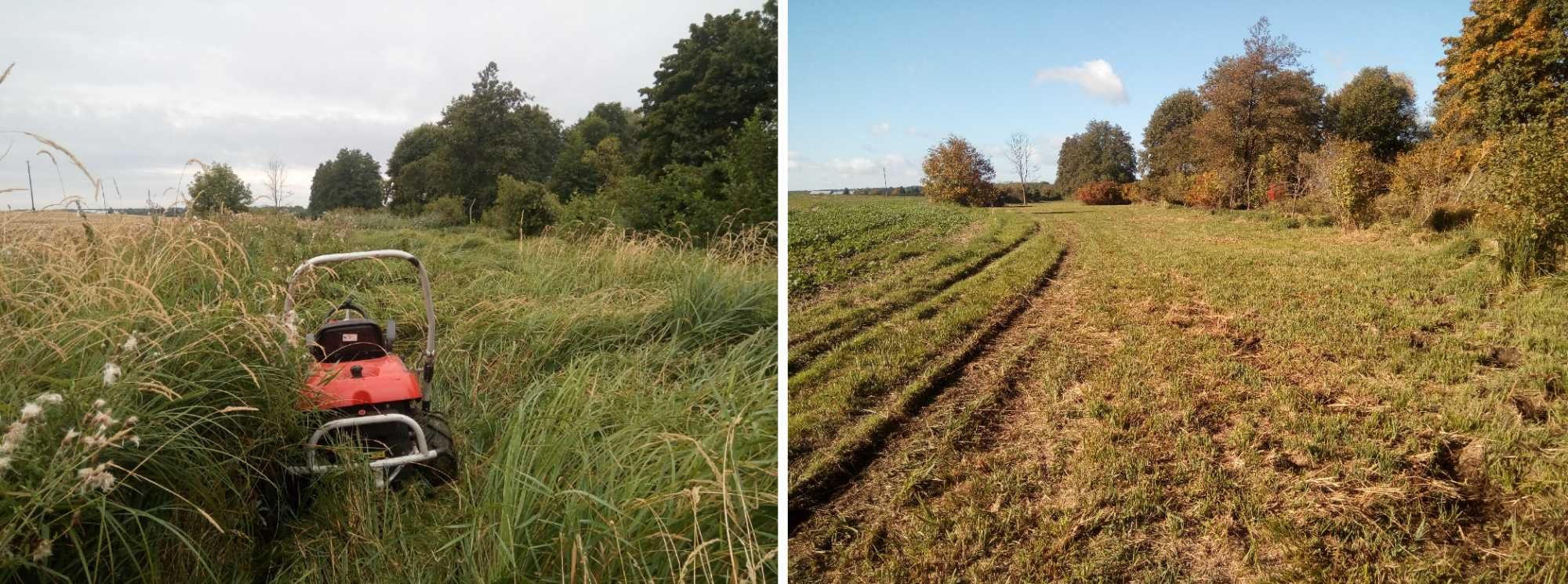 koszenie farm FV, karczowanie i oczyszczanie działek, wycinka drzew