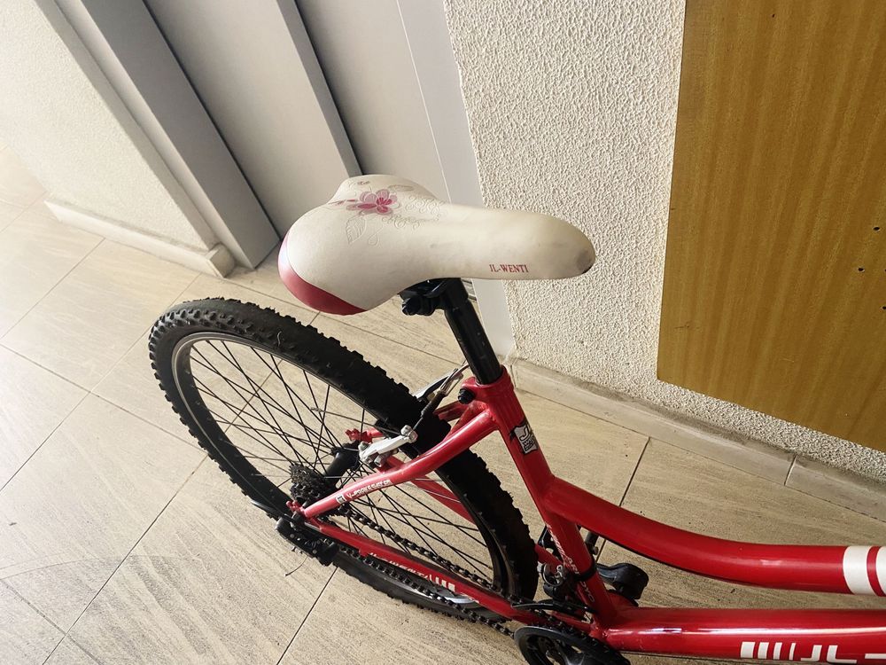 Bicicleta unisexo