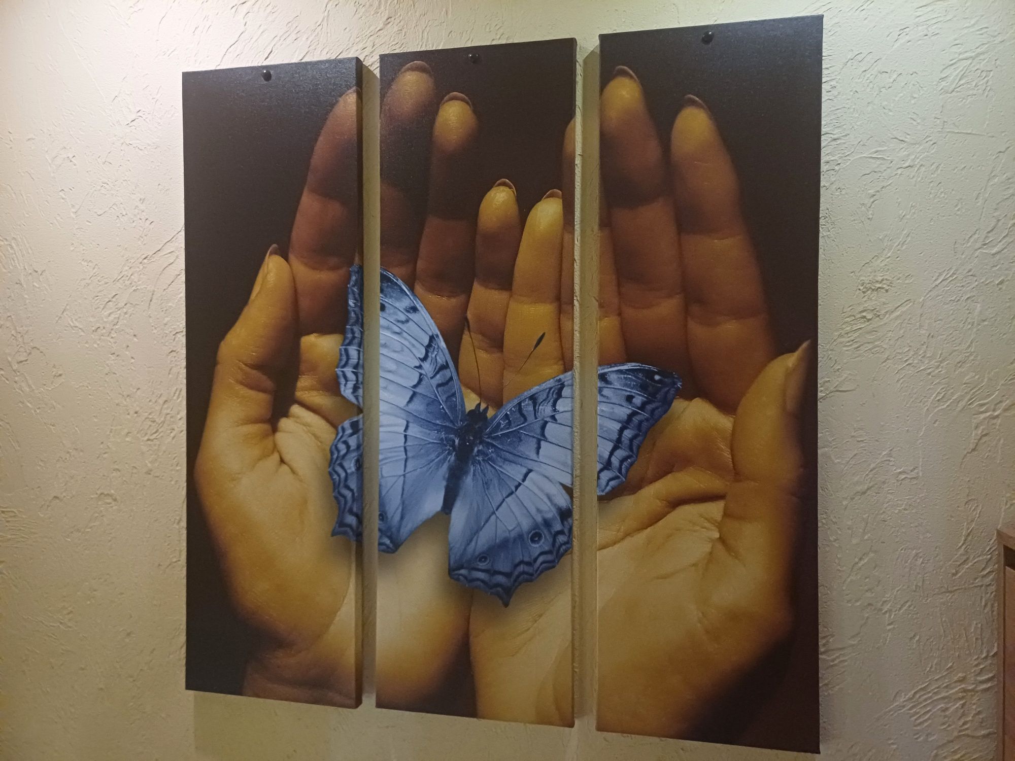 Obraz na płótnie  3 D 3 częściowy motyl w dłoni