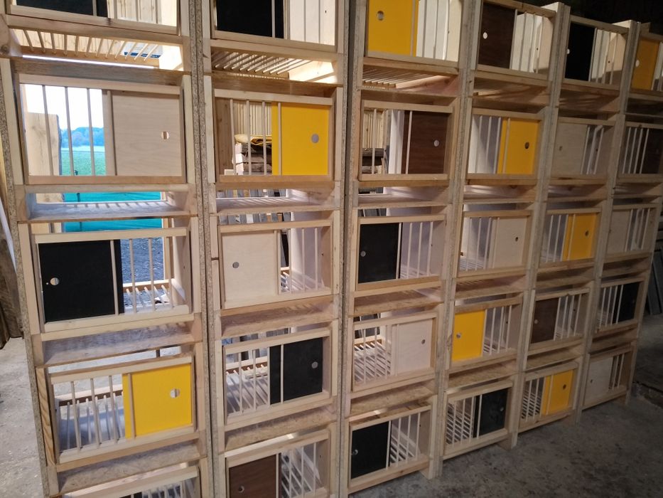 Cele lęgowe dla gołębi