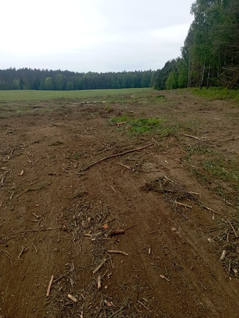 Nieodpłatne usuwanie zadrzewień i zarośli