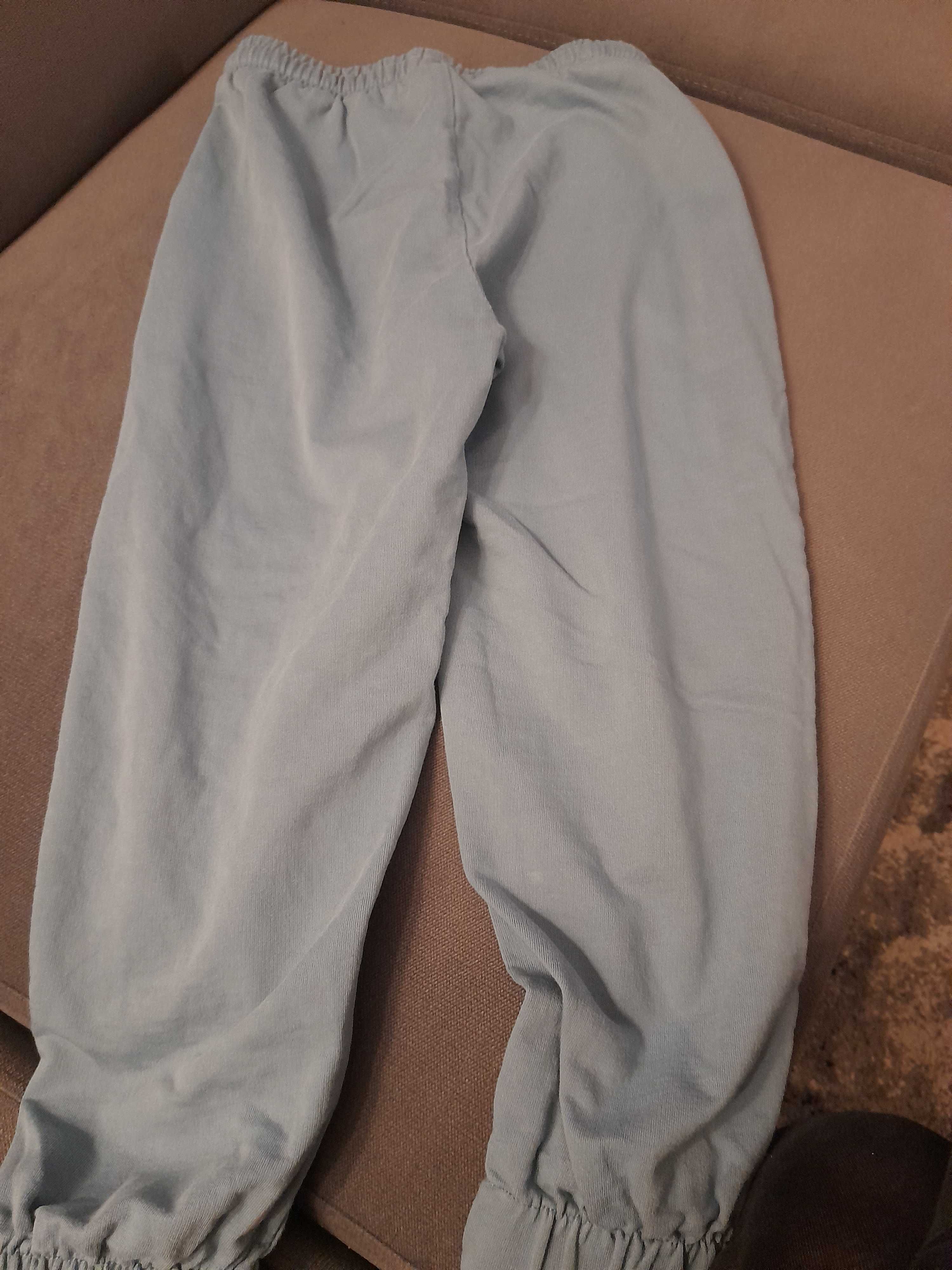 Spodnie dresowe dla chłopca marki Lincoln&Sharks w rozmiarze 134