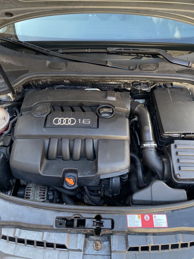 Audi A3, 1.6mpi, АКПП