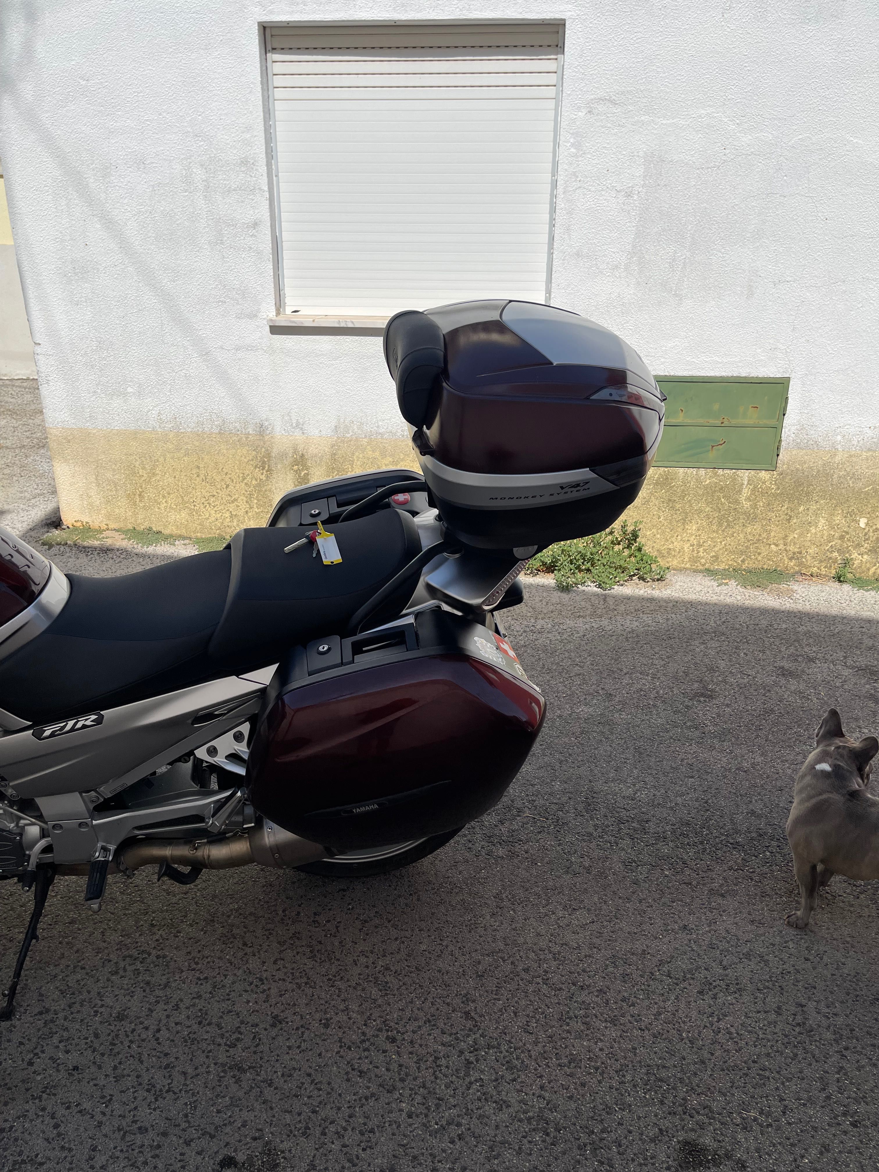 FJR como nova para venda
