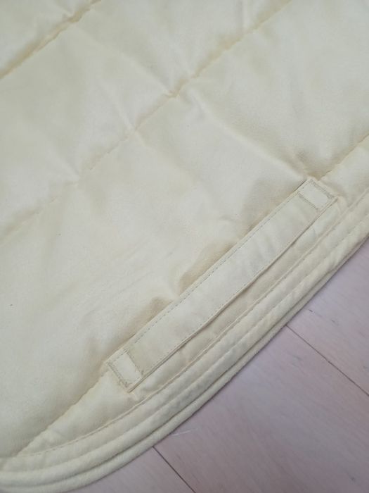 Czaprak york fair Play eskadra Kentucky