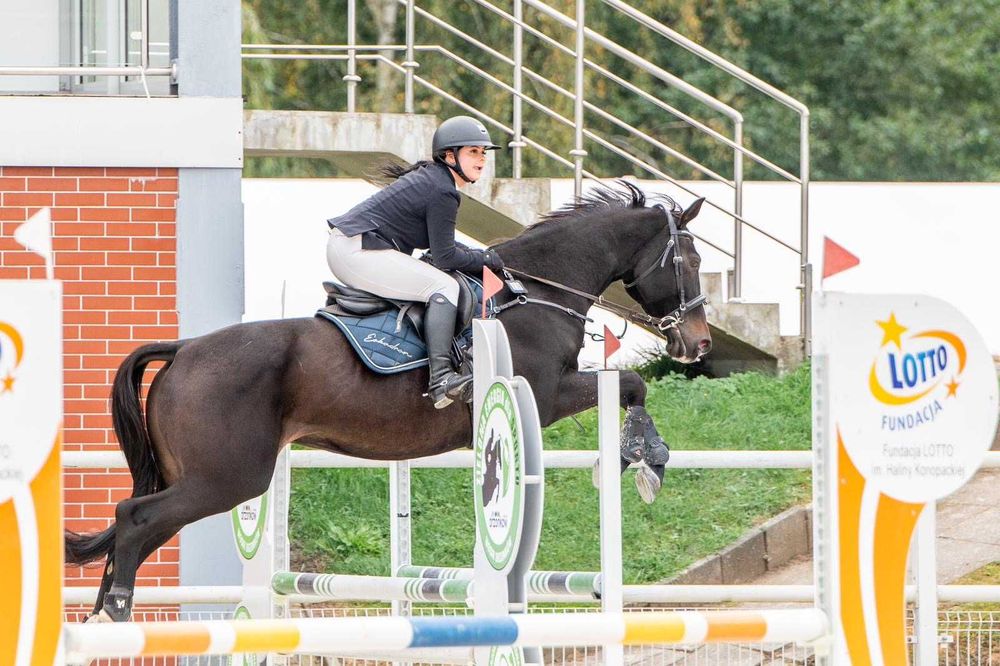 Piękna Klacz do sportu