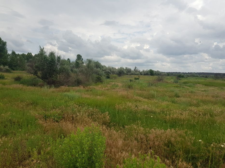 Земля в Галициново