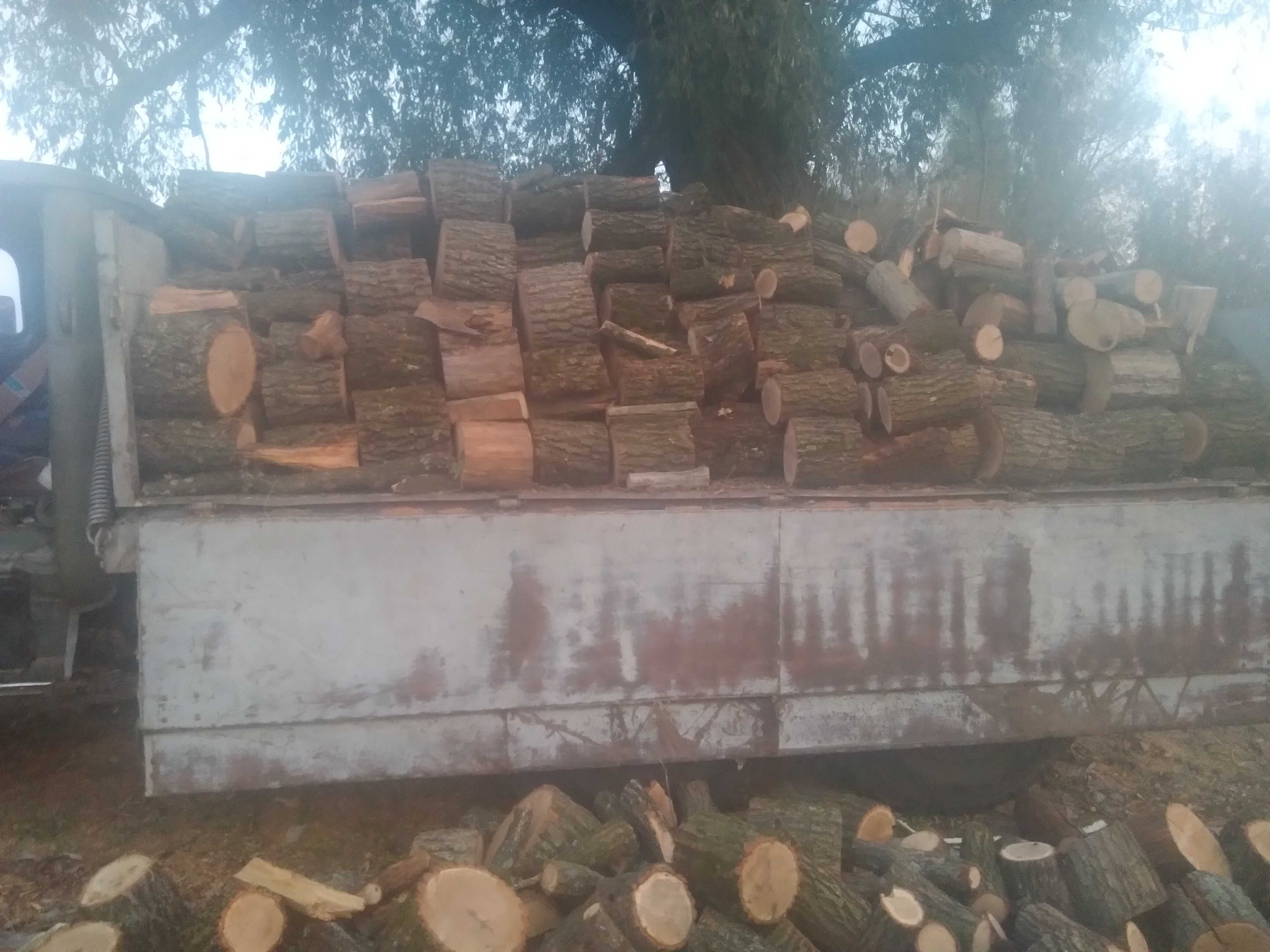Продам дрова дуб,акація,сосна