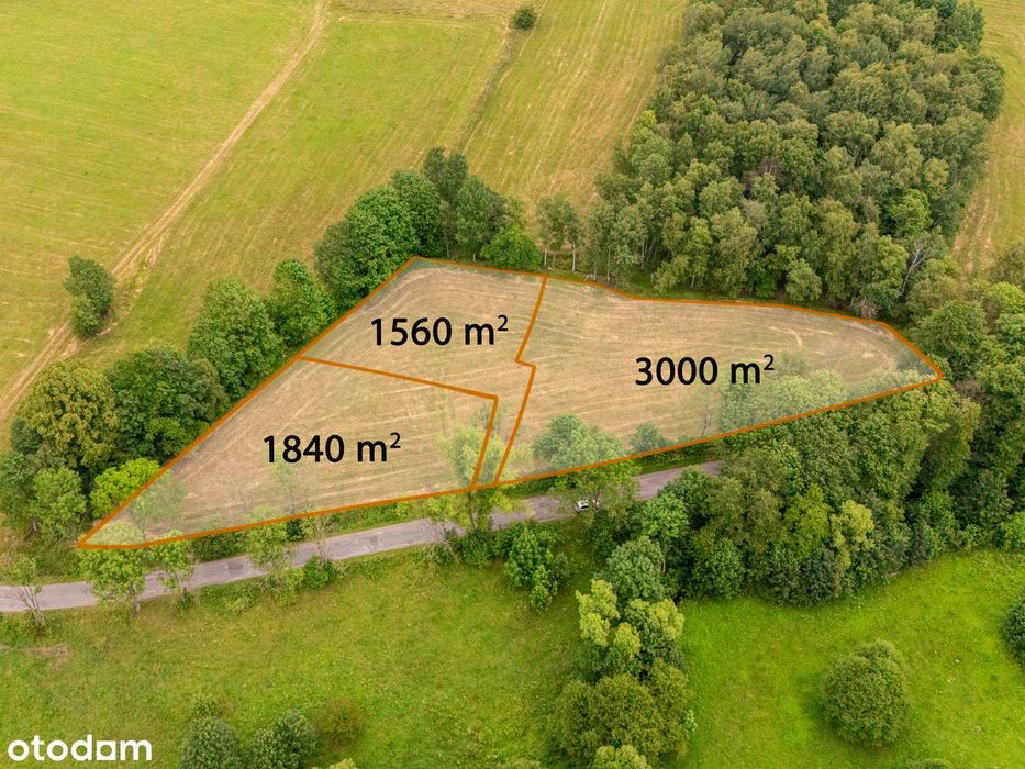 Działki budowlane przy lesie w Górach Sowich !!!