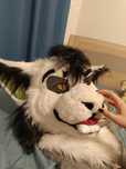 Furry Fursuit Ryś