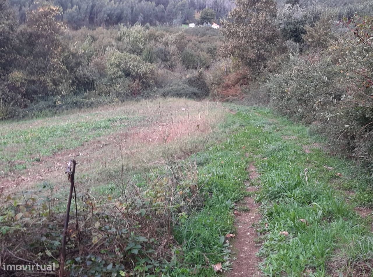 Vende Quinta em Paraíso Castelo Paiva