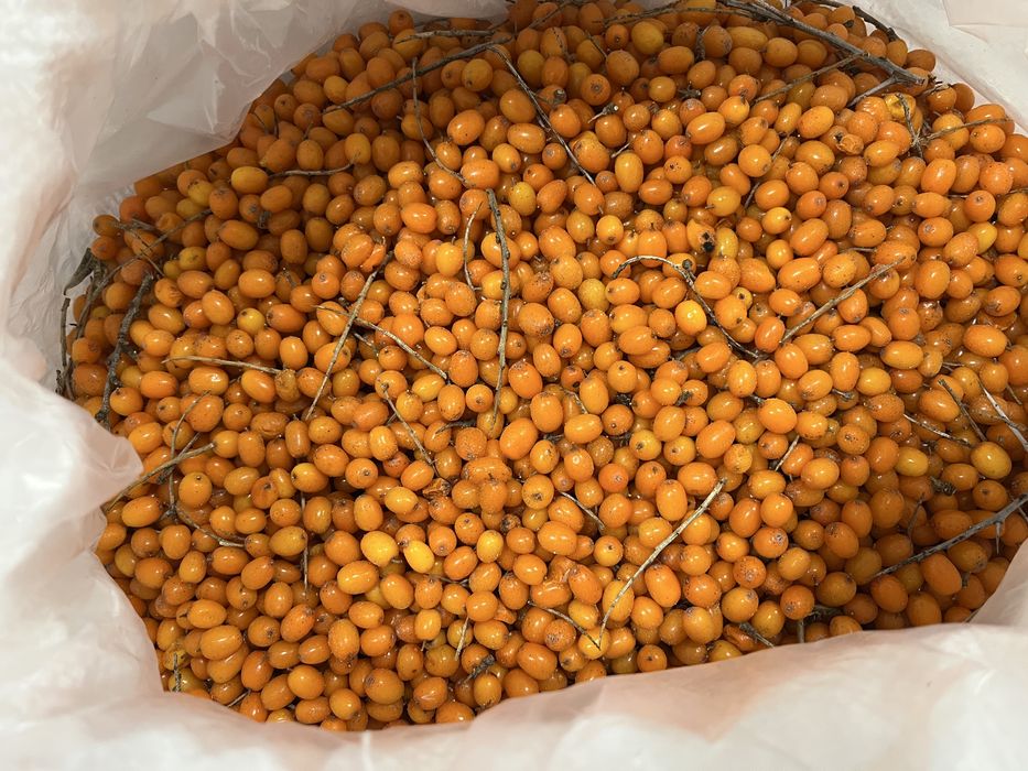 Обліпиха морожена