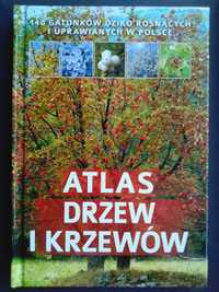 Atlas drzew i krzewów – Aleksandra Hazarewicz