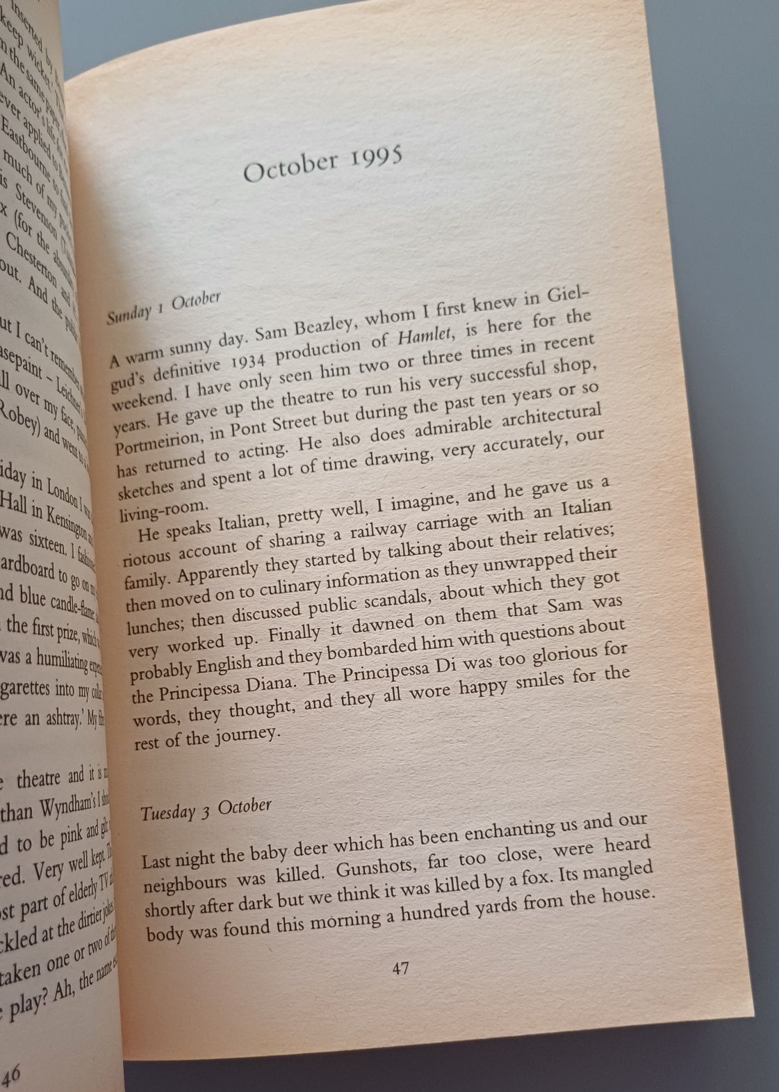Book My Name Escapes Me