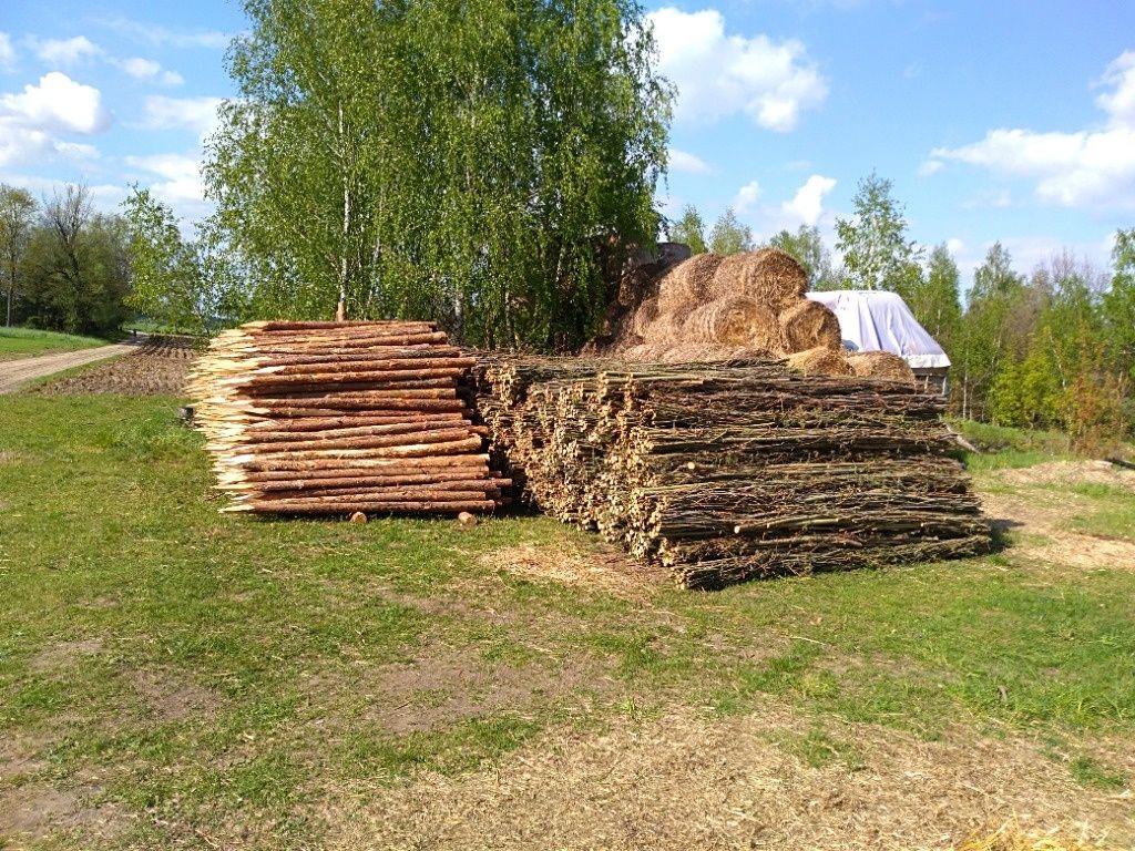 Faszyna.Kołki. Kiszka faszynowa