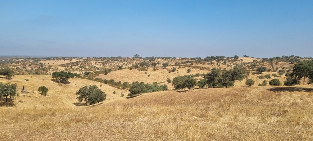 Monte na Serra de Serpa