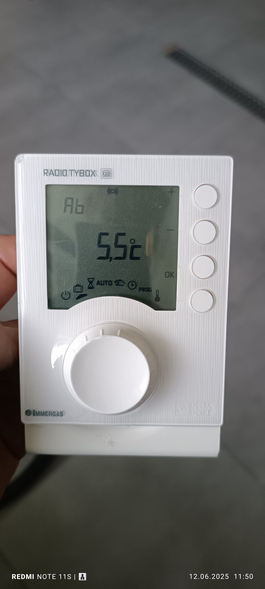 Immergas TYBOX X2D