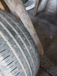 Opony lato continental