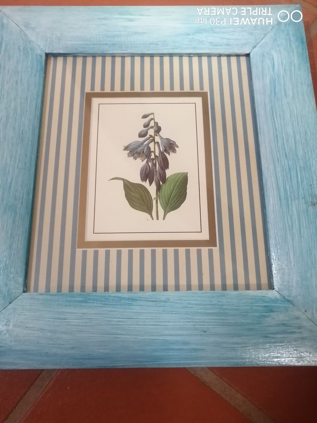4 Quadros flores