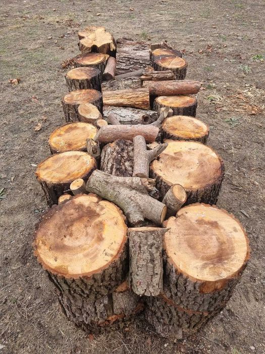 Drewno opałowe olcha (olszyna)