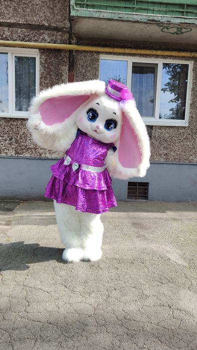 Аніматор/привітання зайчика/стриптизер/ведмедик/аніматор Житомир/Стіч