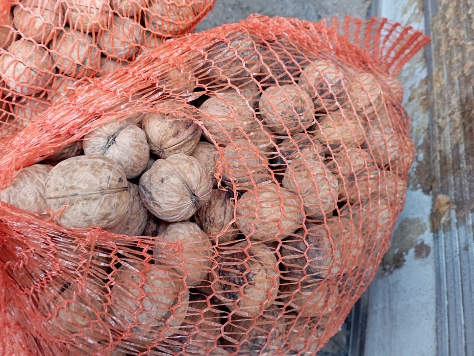 Sprzedam orzechy włoskie posiadam 2 tony