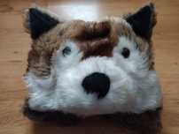 Czapka szalik rękawiczki pies husky