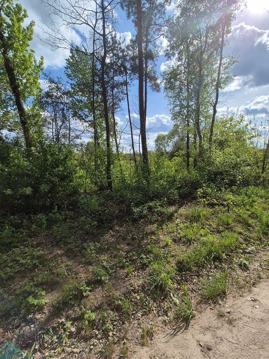 Działka nad rzeką w otoczeniu lasów
