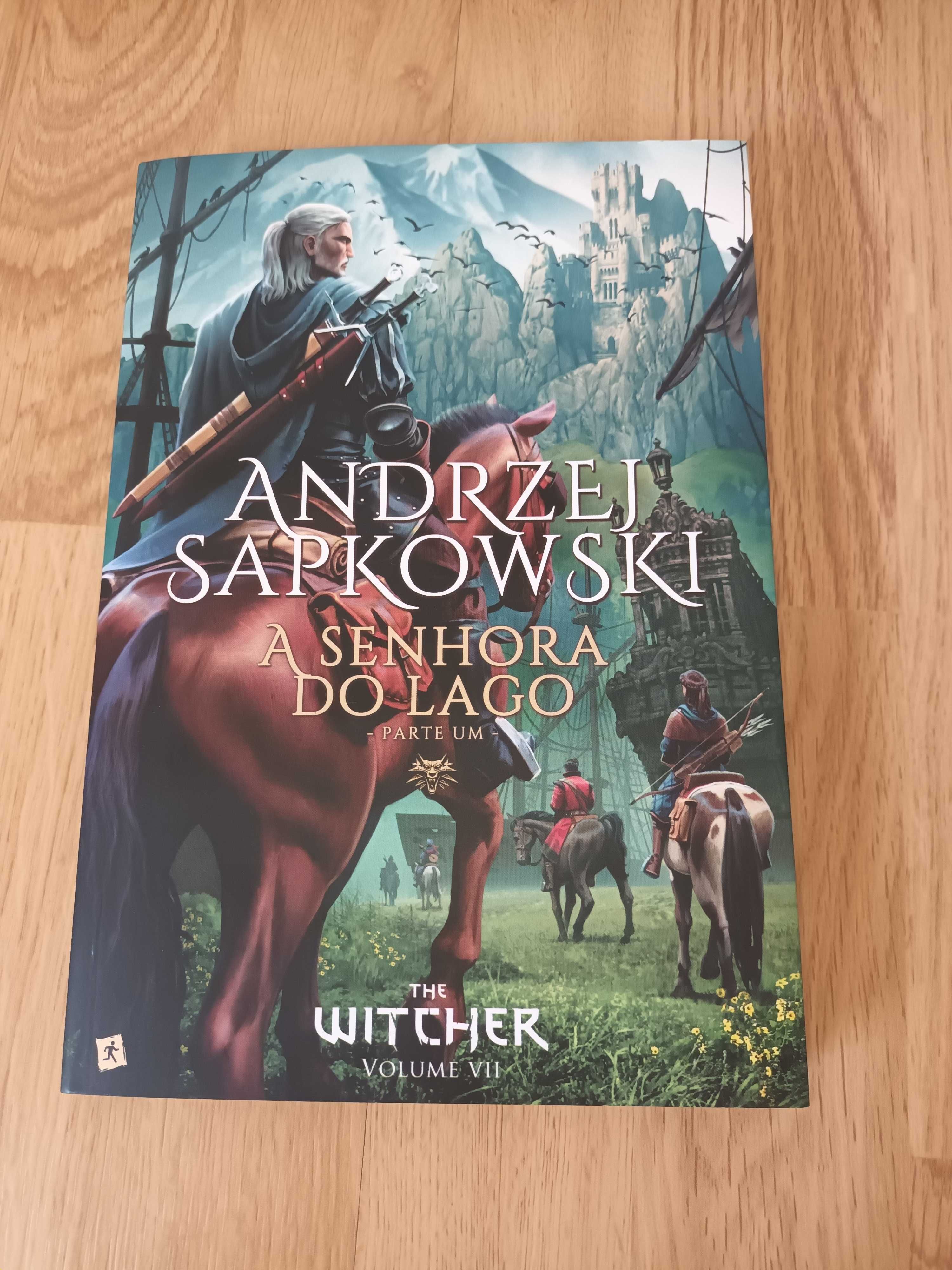 Coleção livros The Witcher Andrzej Sapkowski.