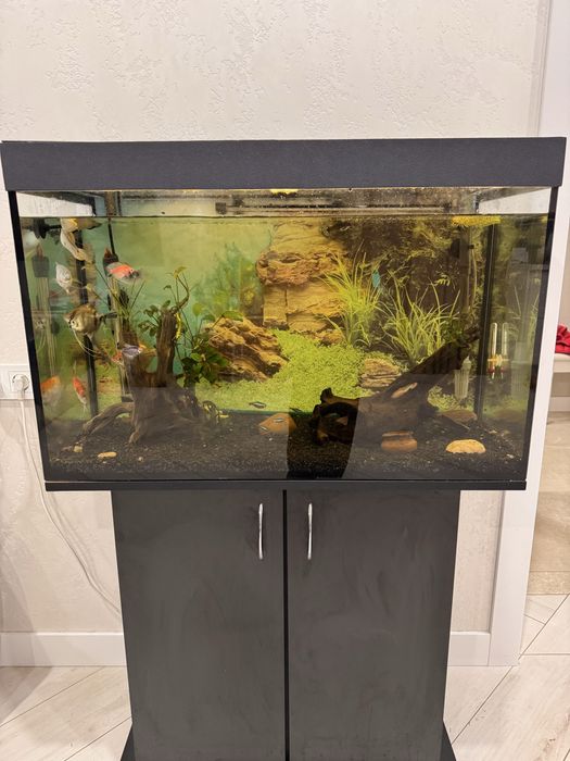 Акваріум з усім необхідним обладнанням