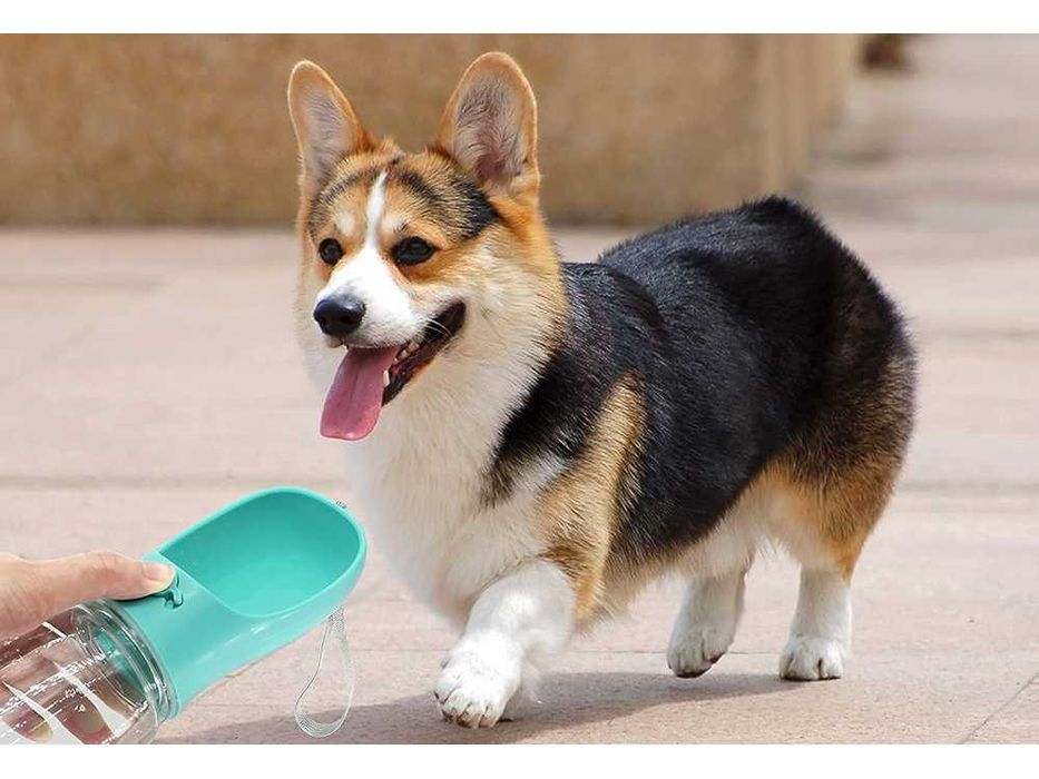 Butelka miska na wodę przenośna poidło psa na spacer turystyczna 380ml