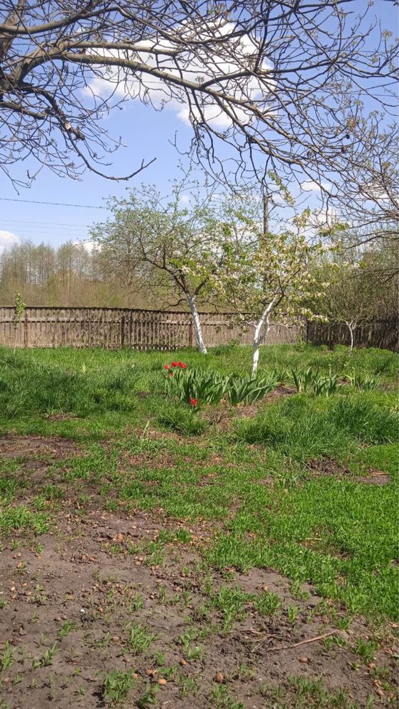 Будинок в пригороді Житомира