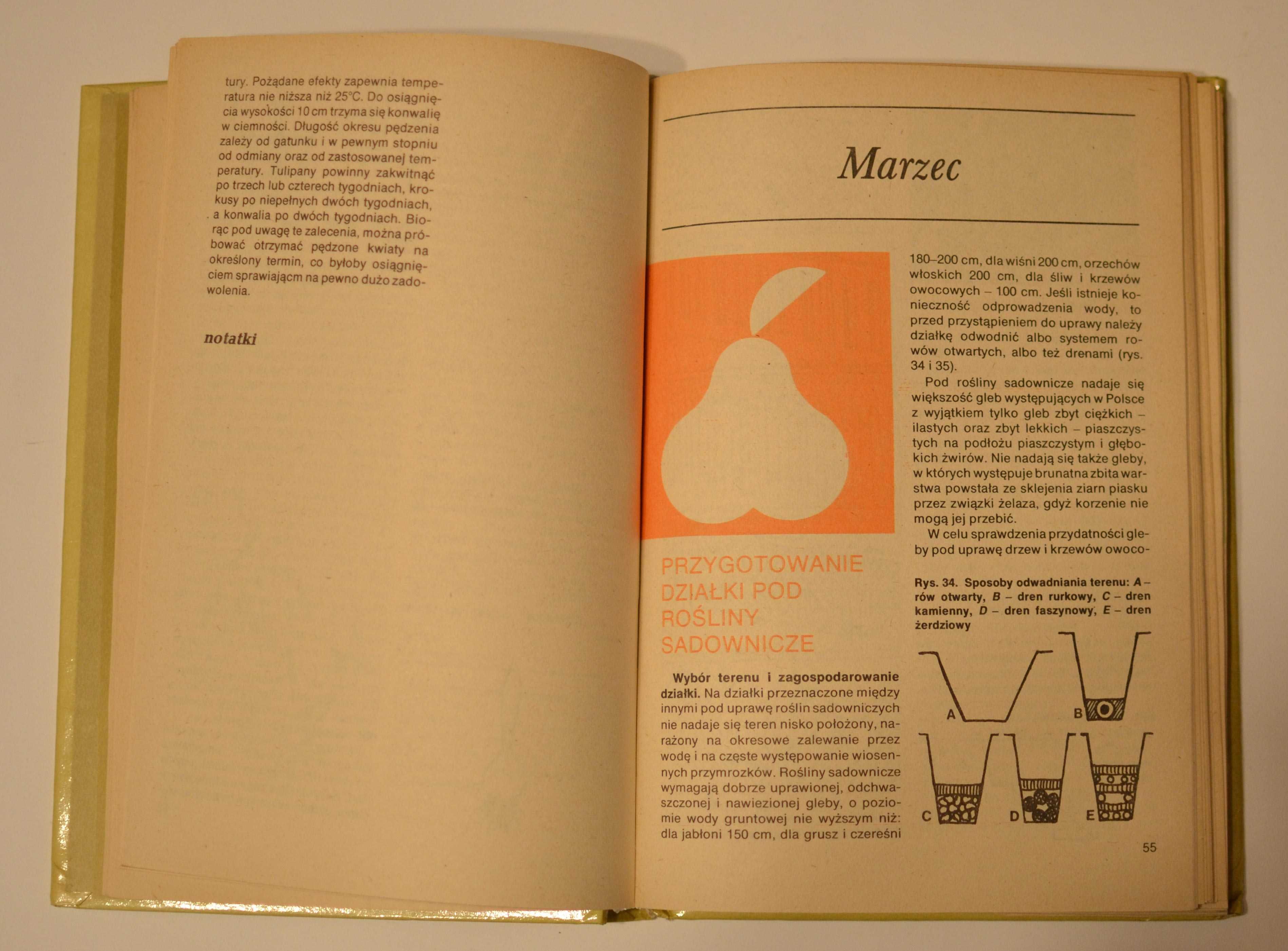 Rok na działce D. Haas. Z. Kawecki. J. Marcinkowski  1981