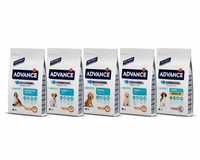 Advance Dog Puppy Mini, Medium, Maxi, Mother