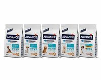 Advance Dog Puppy Mini, Medium, Maxi, Mother