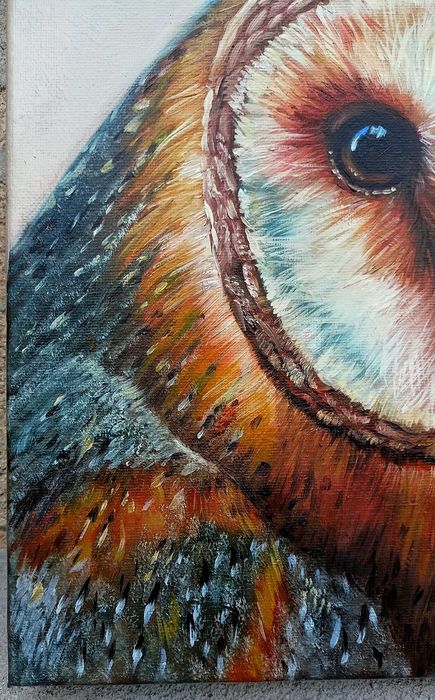 Płomykówka. Sowa. Obraz olejny, certyfikat. Cena -50% tylko do 7.12