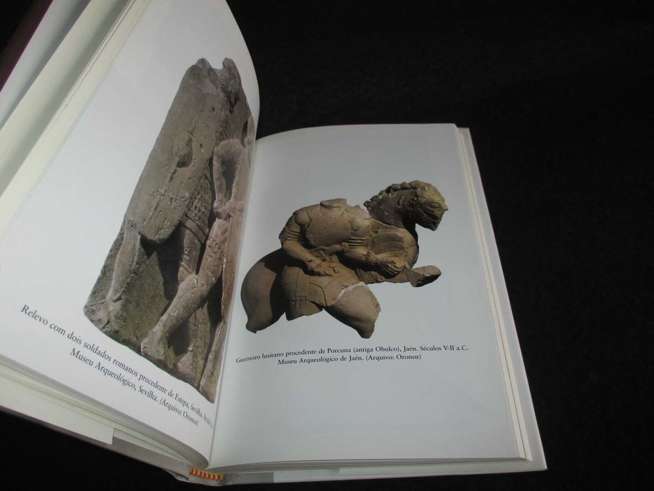 Livro Viriato Mauricio Pastor Muñoz